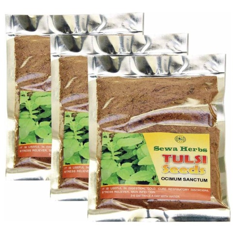 Sewa Herbs Tulsi Seeds, 100 g - Pack of 3 Sewa Herbs Tulsi Seeds, 100 g - Pack of 3