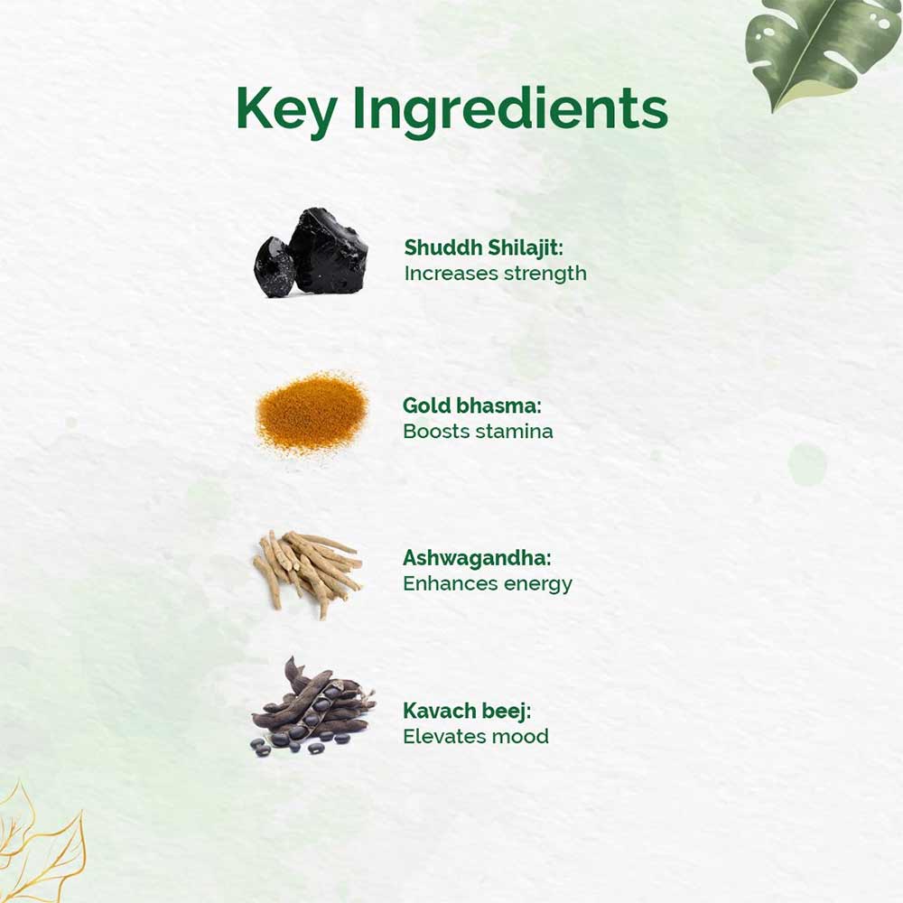 5 - Dr. Vaidya's Shilajit Gold,  30 capsules 