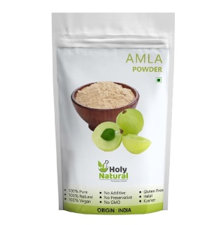 Holy Natural Amla Powder, 0.100 kg