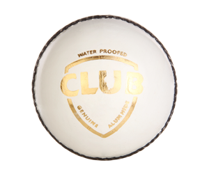 SG Club White Leather Cricket Ball