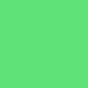 06 Lime Green