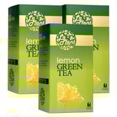 Laplant Green Tea & Lemon,  25 Piece(s)/Pack  Lemon(Pack of 3) 