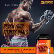 2 - Pro Nutrition & Fitness Whey Protein,  2.2 lb  Cookies & Cream 