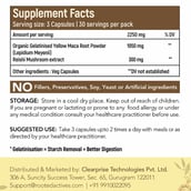 supplement - Rooted Active Naturals Maca Root with Reishi Mushroom Extract,  90 capsules 