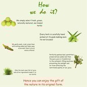 3 - Jeevan Ras Aloevera Amla Juice,  0.5 L  Unflavoured Pack of 3 