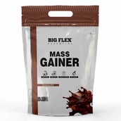 1 - Big Flex Essential Mass Gainer,  11 lb  Chocolate 