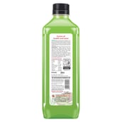 3 - Alo Frut Kiwi Aloevera Juice,  0.200 L  Kiwi (Pack of 5) 
