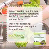 6 - BodyGuard Fruits and Vegetables Disinfectant Tablets,  Fragrance Free  50 tablet(s)  Kills 99.9% of Germs 