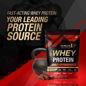 4 - MuscleXP 100% Whey Protein with Digestive Enzyme, 2.2 lb Double Chocolate