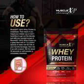 6 - MuscleXP 100% Whey Protein with Digestive Enzyme, 2.2 lb Double Chocolate Pack of 2