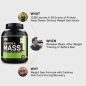 9 - ON (Optimum Nutrition) Serious Mass, 6.6 lb Vanilla