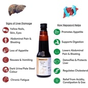 4 - Le-Vanza Food & Herbals Hepaza-6 Pack of 2,  225 ml 