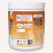 2 - PRO360 Dry Fruits Nutritional Beverage Mix,  0.55 lb  Natural 
