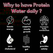 6 - Voll Sante Profuze Protein Water,  250 ml  Lychee Pack of 6 