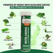 3 - VLCC Wellscience Nutri Greens, 20 tablet(s)