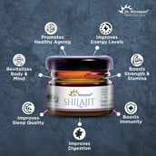 3 - Dr. Morepen Shilajit Resin Form,  15 g 