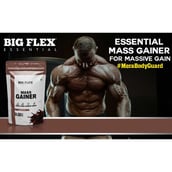 5 - Big Flex Essential Mass Gainer,  2.2 lb  Chocolate 