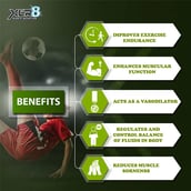 6 - XLR8 Instantised Vegan BCAA++,  0.99 lb  30 Servings  Golden Apple 