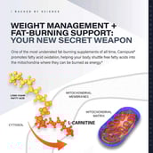 5 - Kaged Muscle L-Carnitine,  250 capsules  Unflavoured 