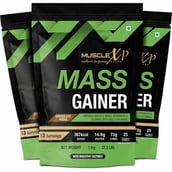 1 - MuscleXP Mass Gainer, 2.2 lb Chocolate Fudge (Pack of 3)