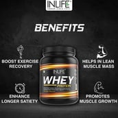 5 - INLIFE Whey Protein Powder,  0.88 lb  Vanilla 
