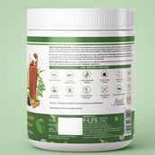 3 - INLIFE Vegan Plant Protein,  Chocolate  0.44 lb 