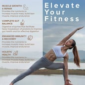 4 - Wellbeing Nutrition Superfood Plant Protein,  1.1 lb  Dark Chocolate Hazelnut Pack of 2 