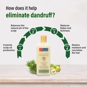 2 - Dr Batra's Dandruff Cleansing Shampoo (Pack of 2),  200 ml  Enriched with Thuja 