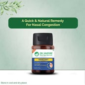 3 - Dr. Vaidya's Inhalant,  10 g 