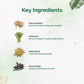 4 - Dr. Vaidya's Herbobuild,  50 capsules 