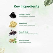 4 - Dr. Vaidya's Shilajit Plus (Pack of 2),  30 capsules 