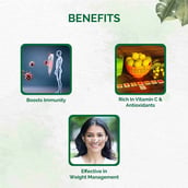 6 - Dr. Vaidya's Amla Juice, Natural 1 L