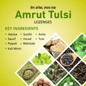 3 - Amrut Tulsi Lozenges (Ginger Mint),  20 Strip(s) 