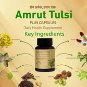 3 - Amrut Tulsi Plus (Pack of 3),  30 capsules 