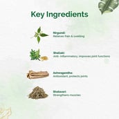 5 - Dr. Vaidya's Pain Relief Oil (Pack of 2),  100 ml 