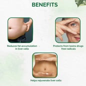 3 - Dr. Vaidya's Liver Care,  30 capsules 