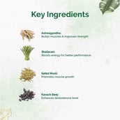 5 - Dr. Vaidya's Herbobuild DS (Pack of 3), 30 capsules