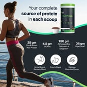 7 - Setu Sport : Plant Protein, 1.19 lb Chocolate