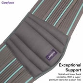 3 - Boldfit Lumbar Support Belt,  Grey  Large 