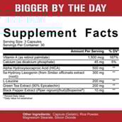 2 - Rich Piana - 5% Nutrition Bigger By The Day,  90 capsules  Unflavoured 