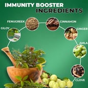 2 - Fitspire Immunity Booster,  60 tablet(s) 