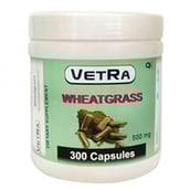 Velvet Wheatgrass (500 mg),  300 capsules 