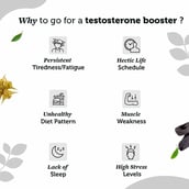 7 - Neuherbs T7 Ultra Testosterone Booster,  60 capsules  Unflavoured