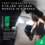 6 - MuscleTech Amino Build, 1.3 lb 40 Servings Strawberry Watermelon