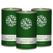 Laplant Mint Green Tea, 100 g Mint (Pack of 3)