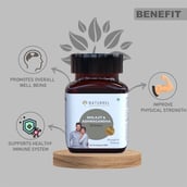 4 - Naturrel Shilajit & Ashwagandha Extract,  60 capsules 