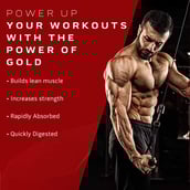 3 - MuscleTech Nitrotech 100% Whey Gold,  8.8 lb  Double Rich Chocolate 