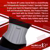 5 - MuscleXP Lumbo Sacral Belt,  Grey  XL 