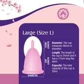 4 - Mom & World Natural Intimate Foaming Feminine Hygiene Wash,  120 ml  + Reusable Menstrual Cup (Large) 