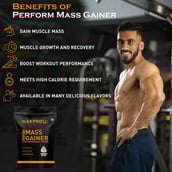 7 - Nakpro Perform Mass Gainer, 2.2 lb Chocolate Cream
